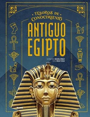 TESOROS CONOCIMIENTO. ANTIGUO EGIPTO | 9791387881214 | NOBATI, EUGENIA/STEELE, PHILIP