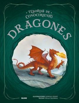 TESOROS DE CONOCIMIENTO. DRAGONES | 9791387881191 | KENNY, GONZALO/CALDWELL, STELLA