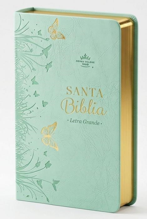 SANTA BIBLIA REINA VALERA 1960 | 9798893842869