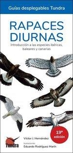 RAPACES DIURNAS. INTRODUCCION A LAS ESPECIES IBERICAS, BALEARES Y CANARIAS | 9788419624819 | HERNANDEZ, VICTOR