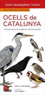 OCELLS DE CATALUNYA. INTRODUCCIO A LES ESPECIES MES FREQUENTS | 9788419624864 | HERNANDEZ, VICTOR J.
