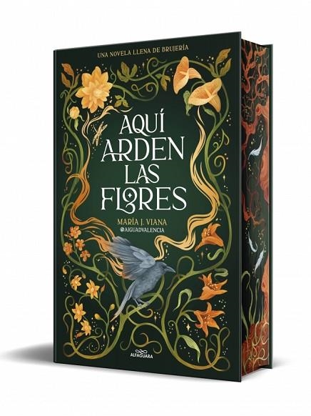 AQUÍ ARDEN LAS FLORES (CANTOS PINTADOS) | 9791387741662 | VIANA,MARIA J. (@AIGUADVALENCIA)