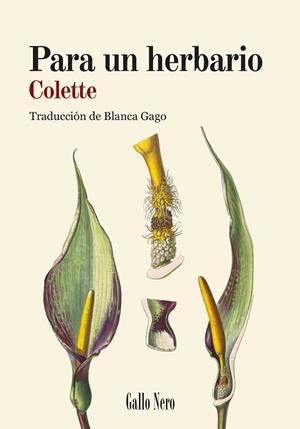 PARA UN HERBARIO | 9788419168887 | COLETTE, SIDONIE-GABRIELLE