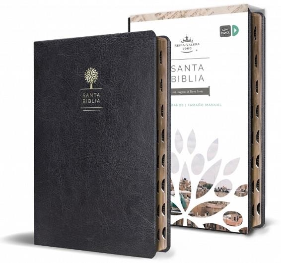 SANTA BIBLIA REINA VALERA LETRA GRANDE | 9781644732168 | REINA VALERA REVISADA