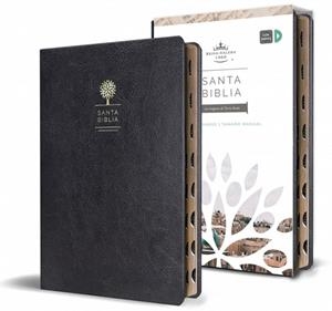 SANTA BIBLIA REINA VALERA LETRA GRANDE | 9781644732168 | REINA VALERA REVISADA