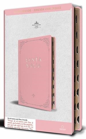 SANTA BIBLIA REINA VALERA LETRA GRANDE | 9798890982131 | REINA VALERA REVISADA