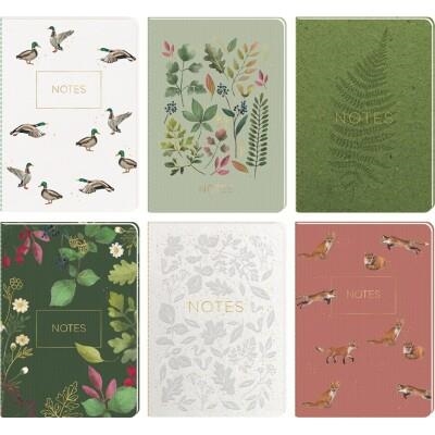 LLIBRETES RATLLADES A5 TEMPS DE PLANTES | 4050003972558