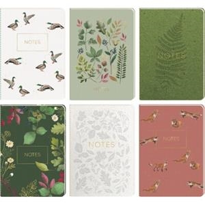 LLIBRETES RATLLADES A5 TEMPS DE PLANTES | 4050003972558