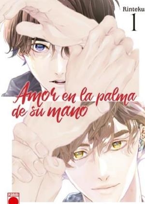 AMOR EN LA PALMA DE SU MANO 1 | 9791370139971 | RINTEKU