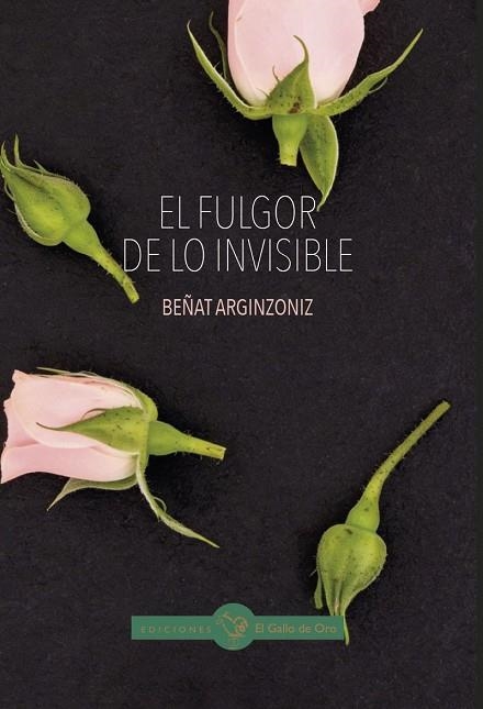 FULGOR DE LO INVISIBLE, EL | 9791399236743
