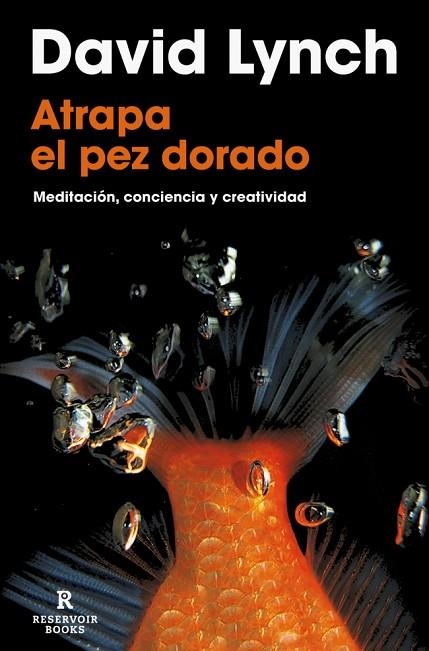ATRAPA EL PEZ DORADO.  MEDITACION, CONCIENCIA Y CREATIVIDAD | 9788418897436 | LYNCH, DAVID