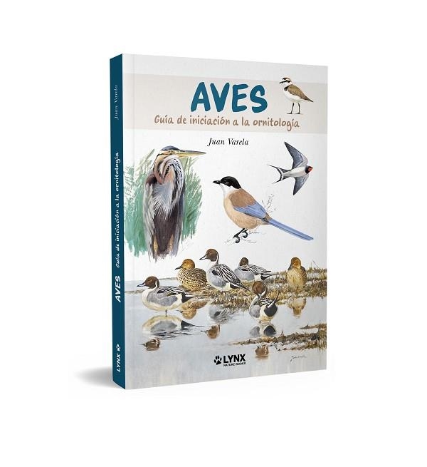 AVES GUÍA DE INICIACIÓN A LA ORNITOLOGÍA | 9788416728831 | VARELA, JUAN