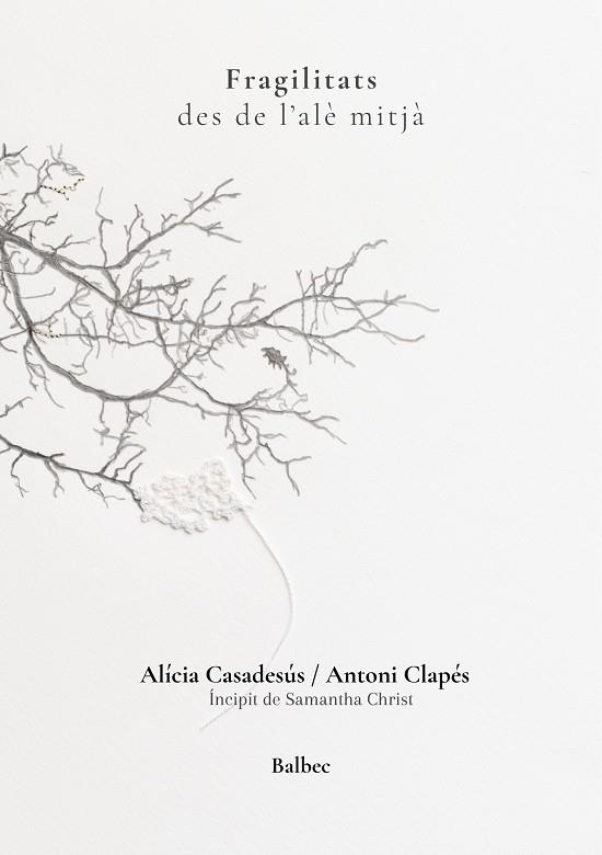 FRAGILITATS DES DE L'ALÈ MITJÀ | 9791388382017 | CLAPÉS, ANTONI/CASADESÚS, ALÍCIA