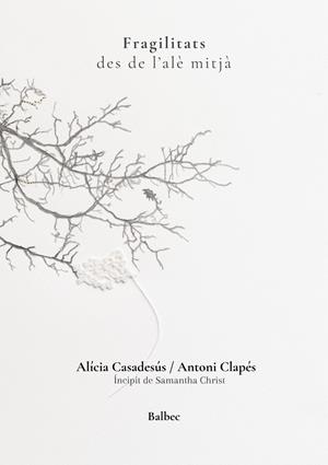 FRAGILITATS DES DE L'ALÈ MITJÀ | 9791388382017 | CLAPÉS, ANTONI/CASADESÚS, ALÍCIA