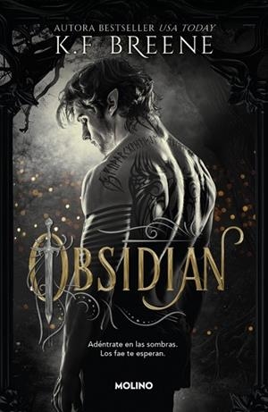 LOS FAE DE LAS SOMBRAS 1 OBSIDIAN | 9788427257290 | BREENE, K.F.