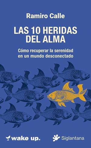 LAS 10 HERIDAS  DEL ALMA CÓMO RECUPERAR LA SERENIDAD  EN UN MUNDO DESCONECTADO | 9788410179745 | CALLE, RAMIRO