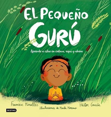 EL PEQUEÑO GURÚ. APRENDE A ESTAR EN CALMA, AQUÍ Y AHORA | 9788408327226 | MIRALLES, FRANCESC/GARCÍA, HÉCTOR