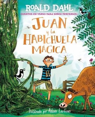 JUAN Y LA HABICHUELA MÁGICA (CUENTOS EN VERSO PARA NIÑOS PERVERSOS) | 9791388277030 | DAHL, ROALD