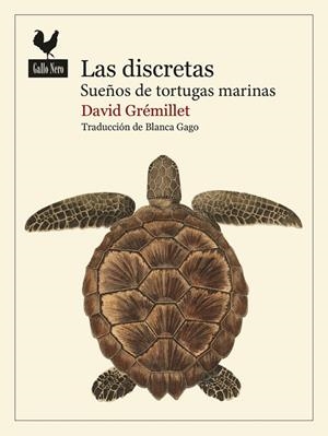 LAS DISCRETAS SUEÑOS DE TORTUGAS MARINAS | 9788419168986 | GRÉMILLET, DAVID