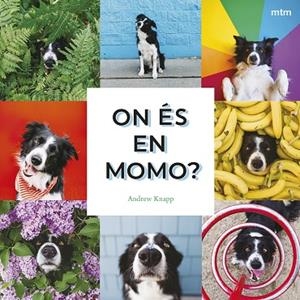 ON ÉS EN MOMO? EN MOMO S'AMAGA EN AQUEST LLIBRE! | 9788410407893 | KNAPP, ANDREW