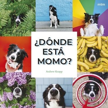 ¿DÓNDE ESTÁ MOMO? ¡MOMO SE ESCONDE EN ESTE LIBRO! | 9788410407909 | KNAPP, ANDREW