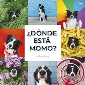 ¿DÓNDE ESTÁ MOMO? ¡MOMO SE ESCONDE EN ESTE LIBRO! | 9788410407909 | KNAPP, ANDREW
