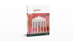 TEMARIO 1 AUXILIARES DE LA ADMINISTRACIÓN GENERAL DEL ESTADO | 9788410774049