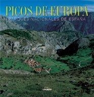 PICOS DE EUROPA PARQUES NACIONALES DE ESPAÑA | 9788477829973 | AA. VV.