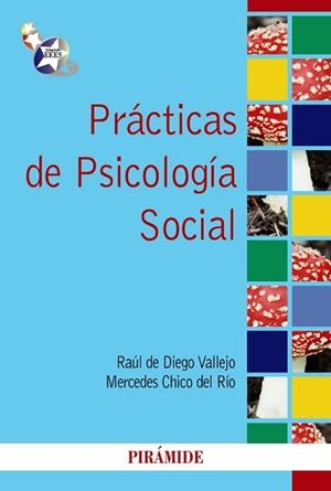 PRACTICAS DE PSICOLOGIA SOCIAL | 9788436828320 | DIEGO VALLEJO,RAUL DE CHICO DEL RIO,MERCEDES