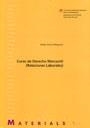 LECCIONES DEL DERECHO CIVIL APLICABLE EN CATALUÑA (RELACIONES LABORALES) | 9788449023200 | SOLE RESINA,JUDITH GETE-ALONSO Y CALERA,M DEL CARMEN NUÑEZ ZORRILLA,Mª DEL CARMEN YSAS SOLANES,MARIA
